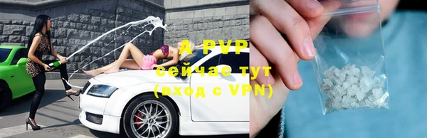 мескалин Богданович